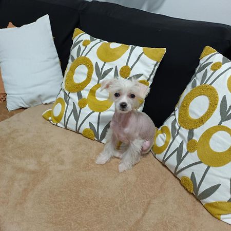 マドリードCasa De Cissアパートメント エクステリア 写真