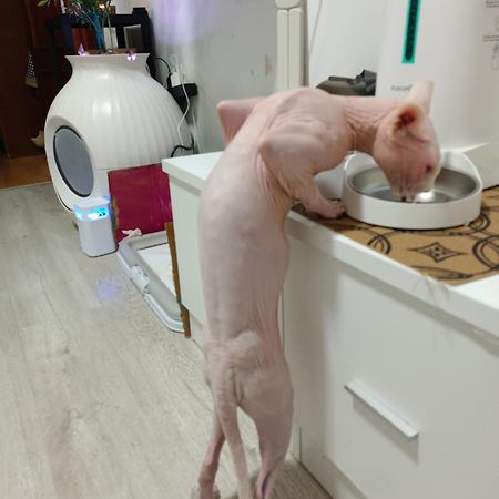 マドリードCasa De Cissアパートメント エクステリア 写真