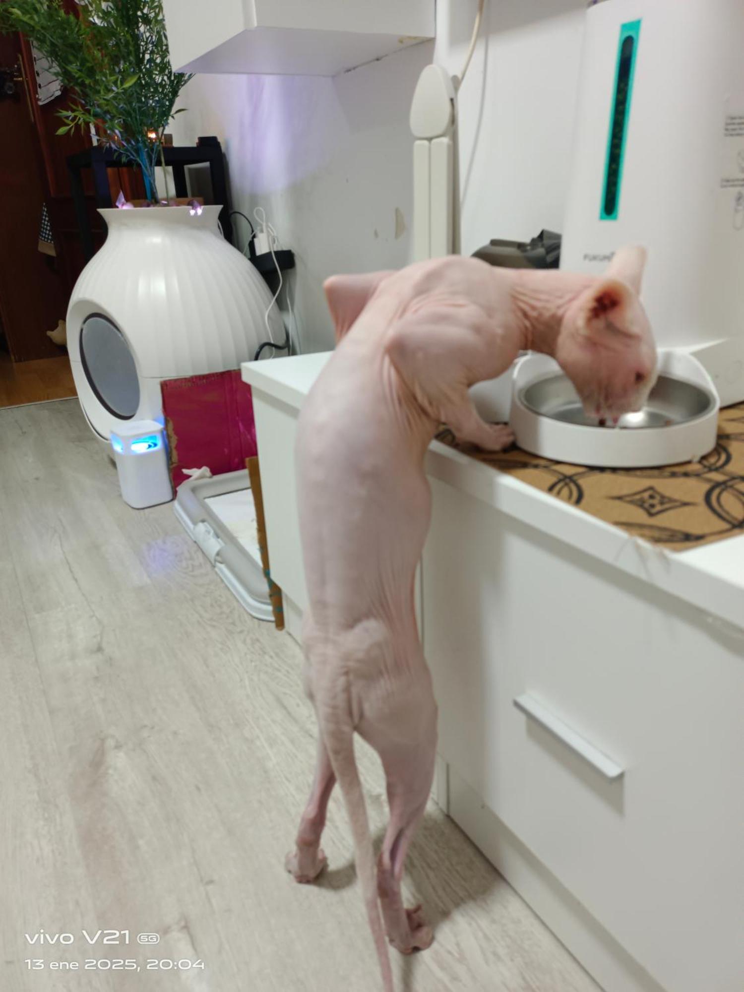 マドリードCasa De Cissアパートメント エクステリア 写真